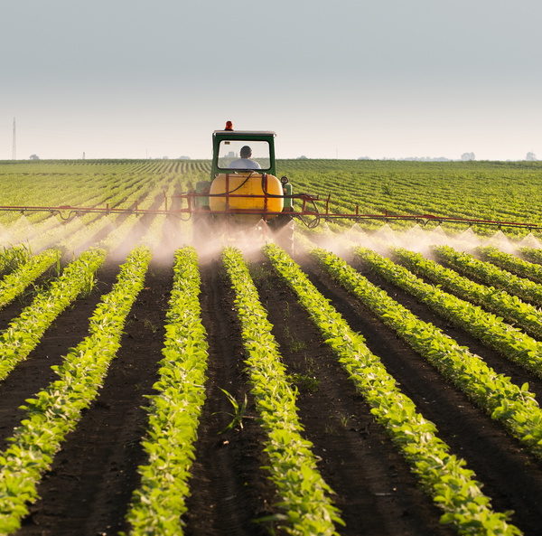 Négociations du règlement SAIO : la France élabore des études sur les produits phytopharmaceutiques